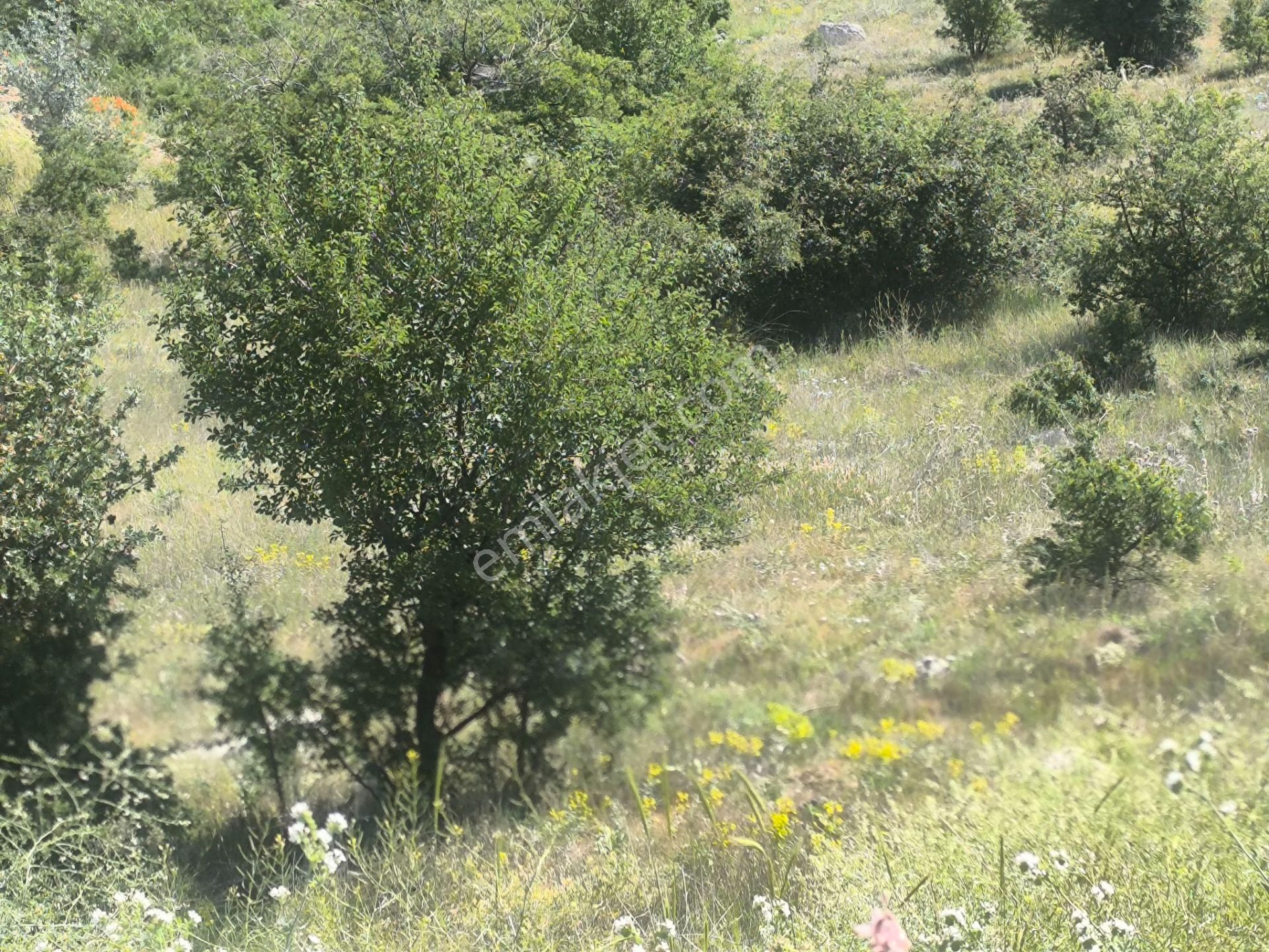 Kahramankazan Kumpınar Satılık Yatırımlık Hisse Tapulu 185 M2 Arsa - Görsel 19