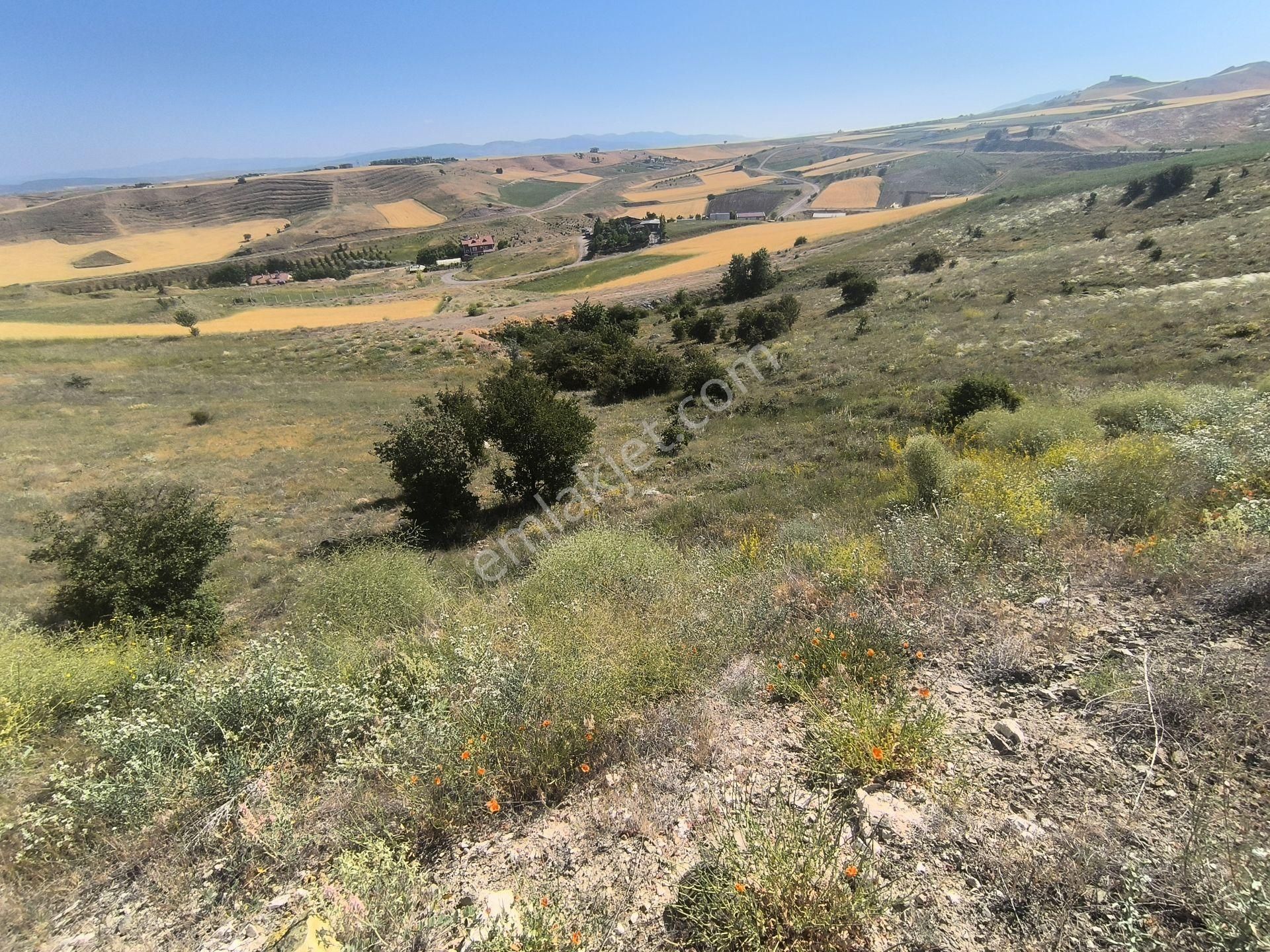 Kahramankazan Kumpınar Satılık Yatırımlık Hisse Tapulu 185 M2 Arsa - Görsel 26