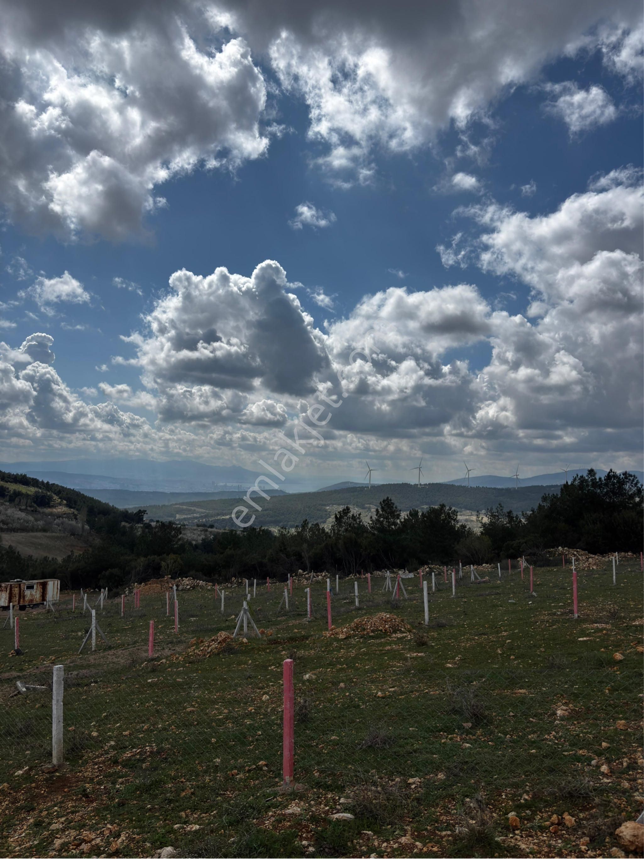 İzmir Kemalpaşa Damlacık Körfez Manzaralı Arsa - Görsel 7