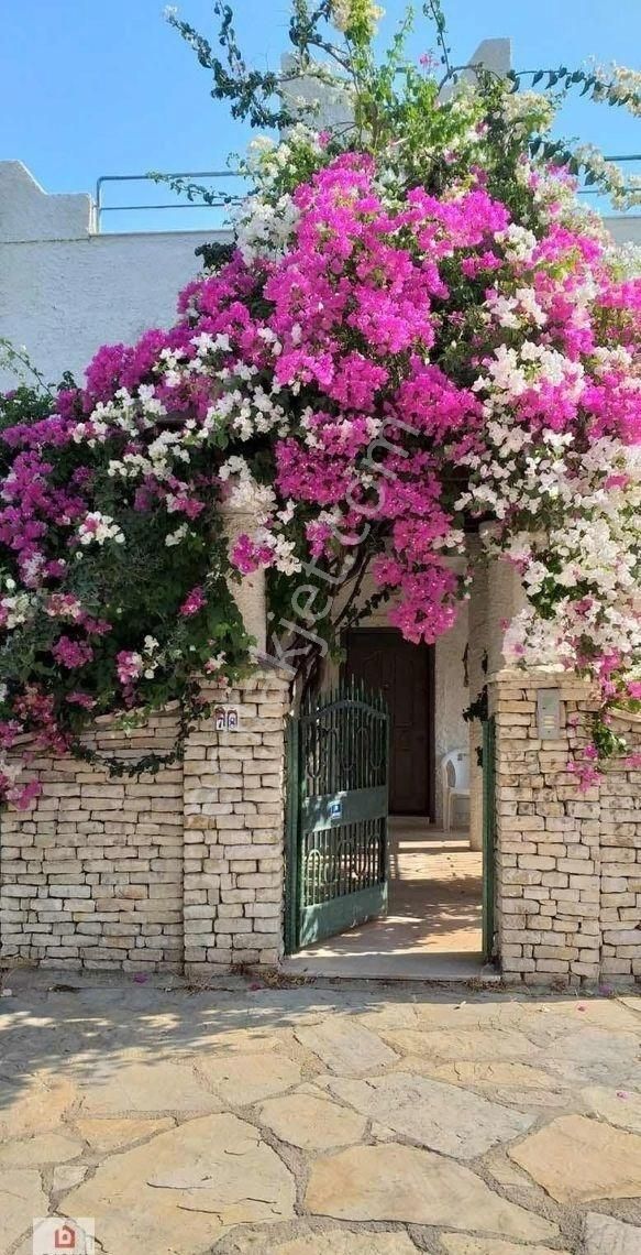 Bodrum Türkbükü Kiralık Daire