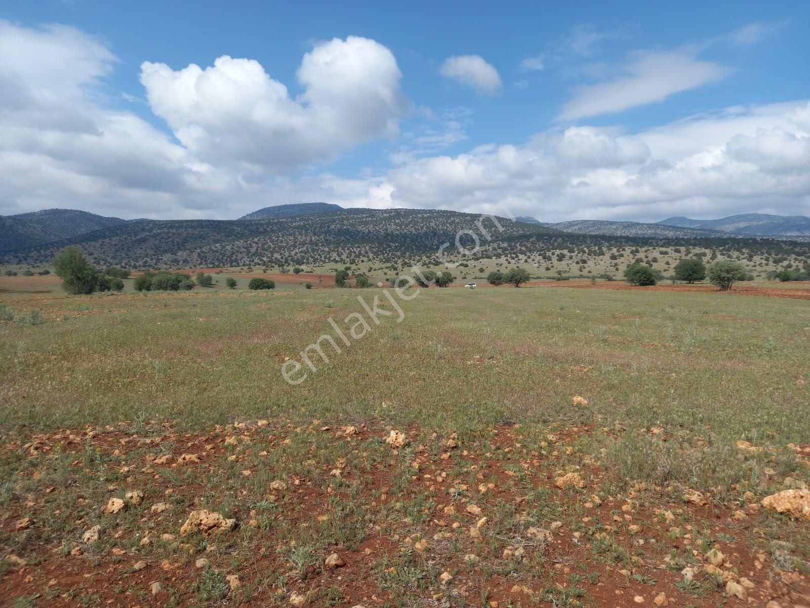 Akören Ağalar 11.482 M² Müstakil Tarla