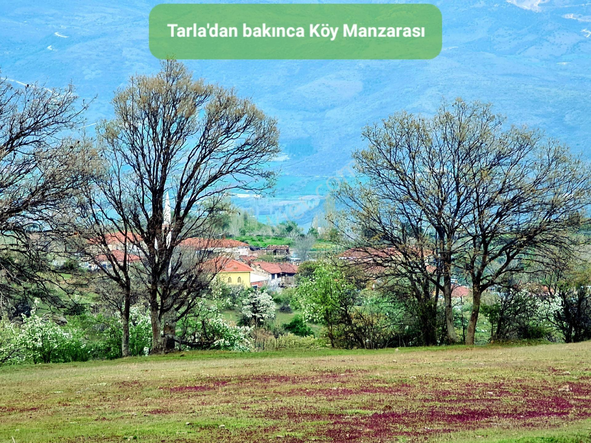 Manisa Demirci Bayramşah'da 1.967 M2 Köy Manzaralı Uygun Tarla. Açıklamayı Okuyarak Arayınız