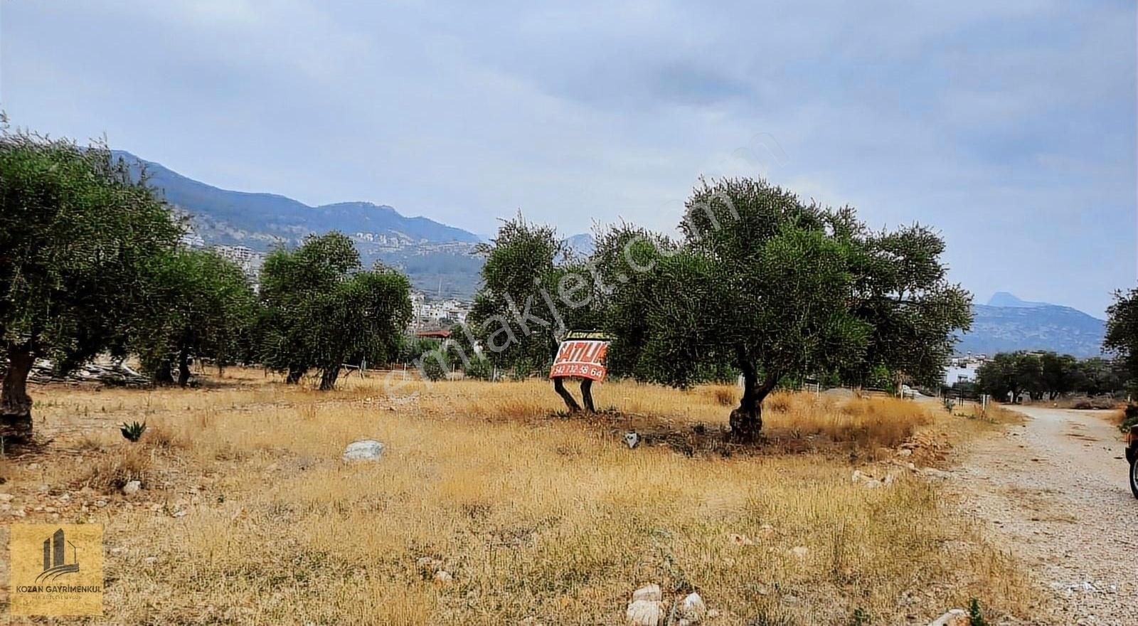 Ağlıboğazda Merkezi Konum Villa & Konut Arsası