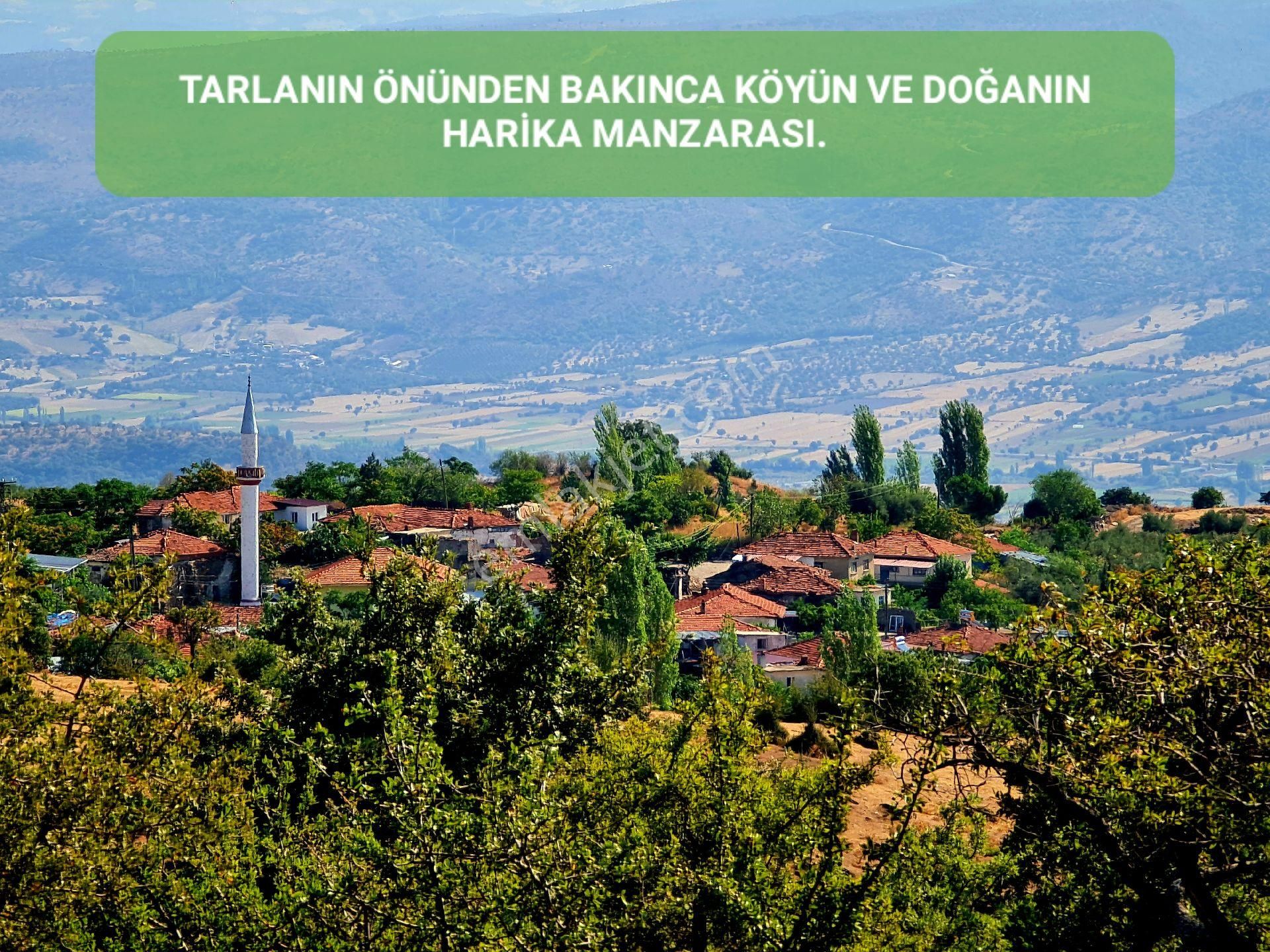 Manisa Demirci Bayramşah'da 3.085 M2 Köy Doğa Manzaralı Uygun Tarla. Açıklamayı Okuyunuz