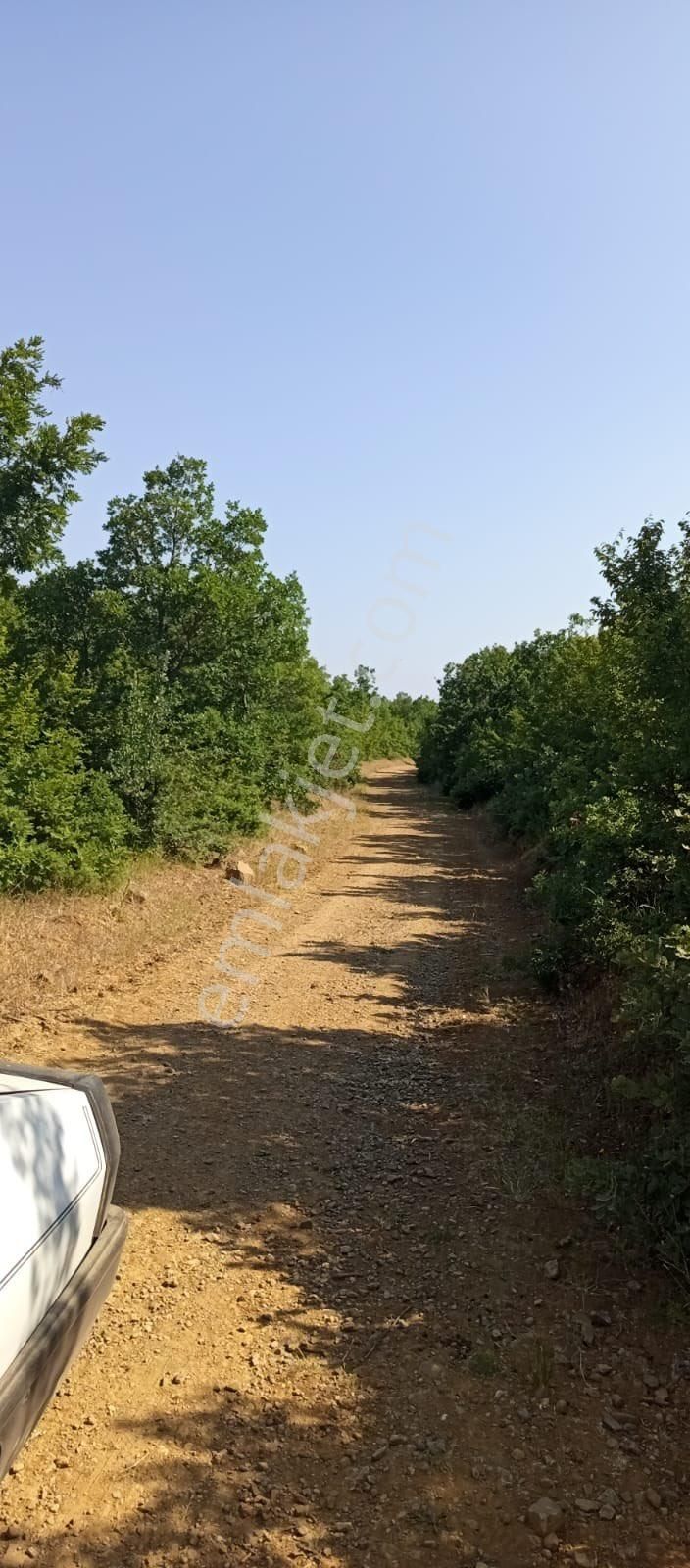 !!bilge Emlak’tan!! Şarköy Yayaköy’de Mükemmel Konuma Sahip 997 M2 Tarla