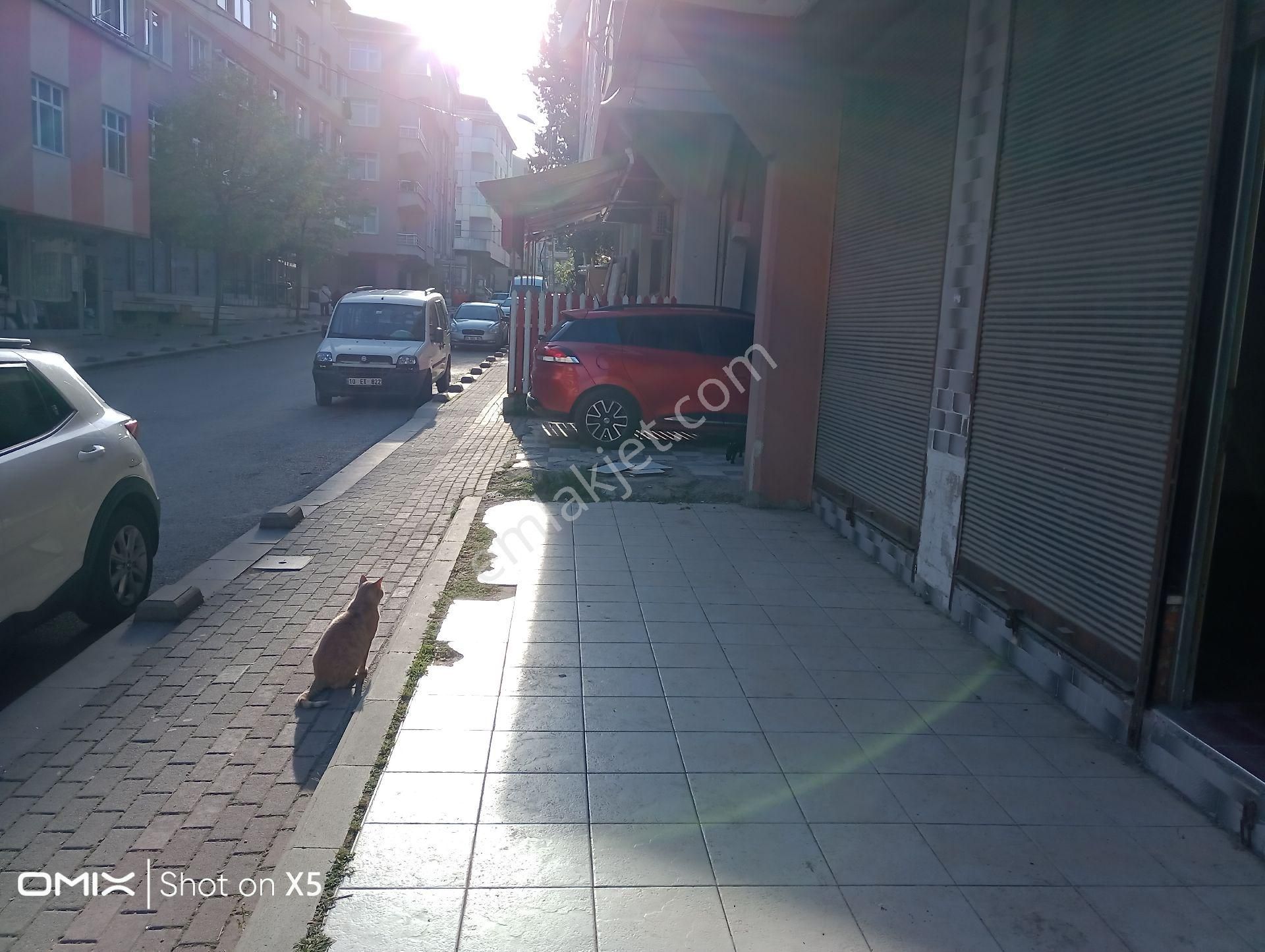 Pendik Çamçeşme Mahallesi'nde Kiralık 20m2 Düz Giriş Dükkan