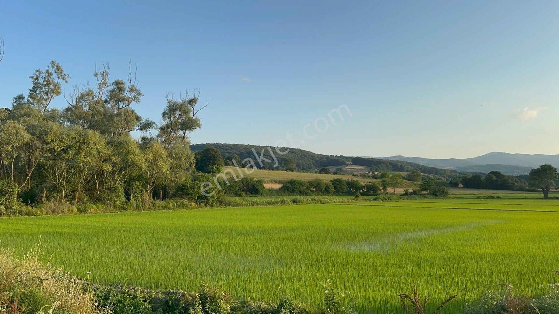 Samsun Alaçam Sinop Yolu