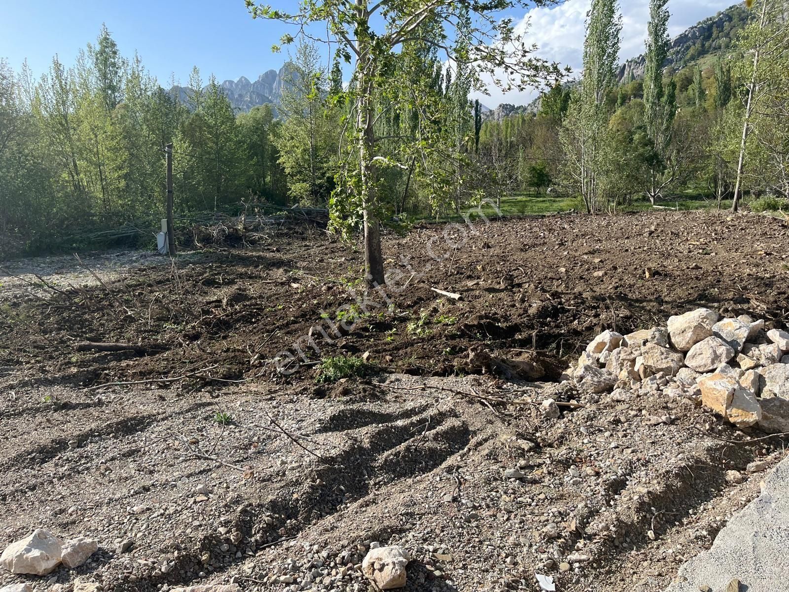 700 M² Satılık Çay Arası Sarımurt Mevki Yayla Yerimiz - Görsel 3