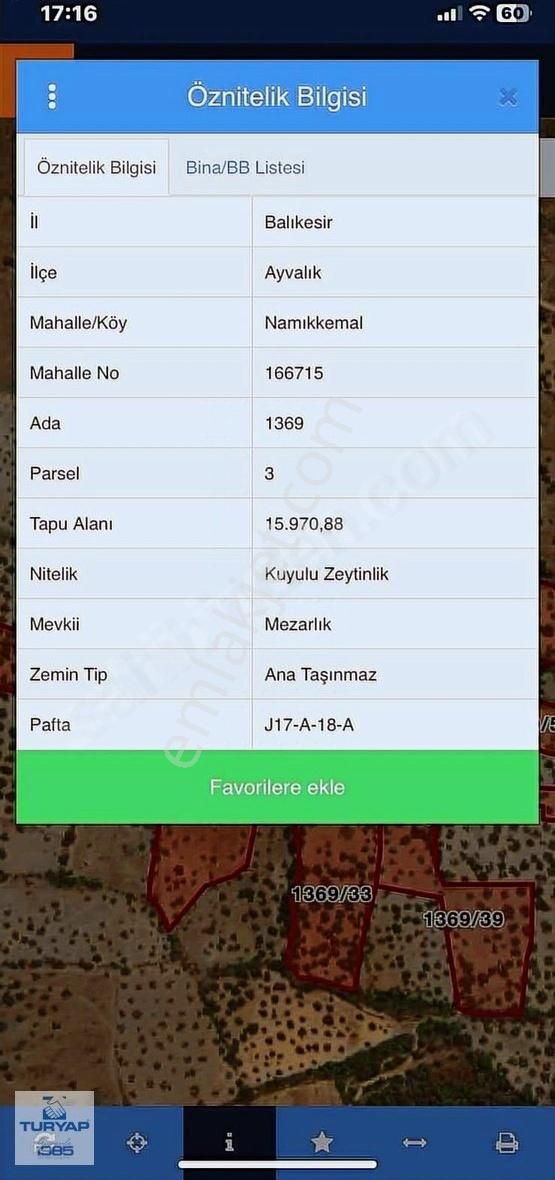 Cunda Adasında Deniz Manzaralı Yatırımlık 15.970 M2 Zeytinlik - Görsel 3