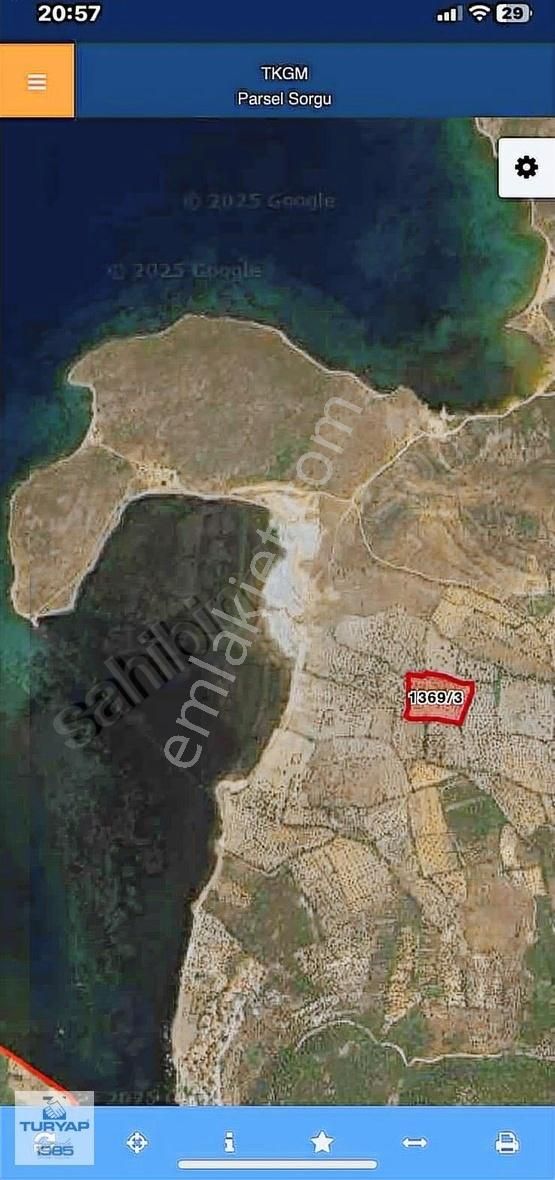 Cunda Adasında Deniz Manzaralı Yatırımlık 15.970 M2 Zeytinlik - Görsel 2