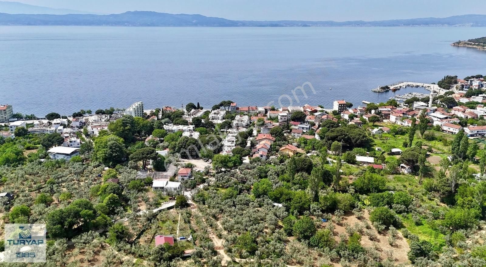 Gemlik Narlı'da Yatırımlık Deniz Manzaralı Zeytinlik
