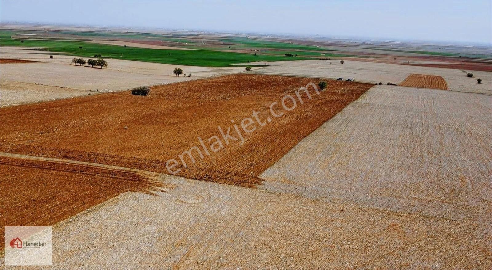 Hanedan Dan 21727 Çarıklar Sınırda Kavak Tapulu Süper Tarla