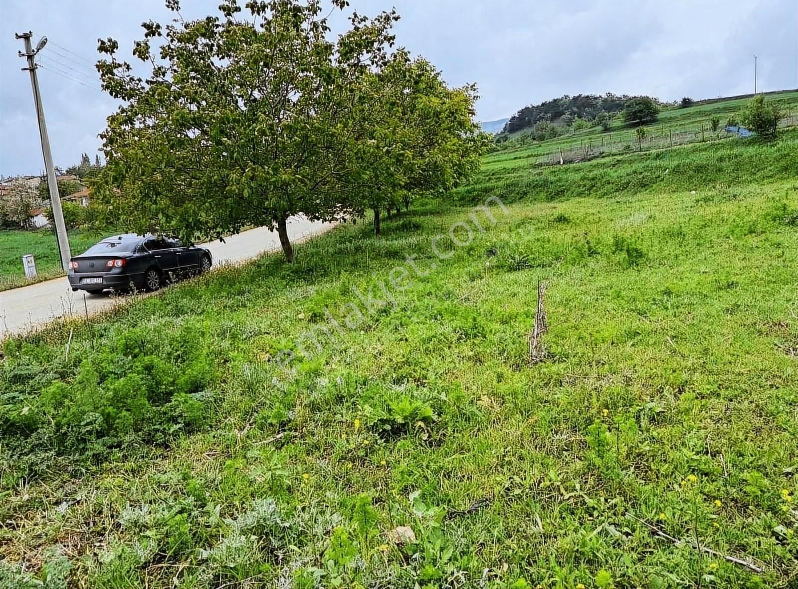 Sakarya Taraklı Köyiçi Yol Kenarı %40 İmarlı Arsa