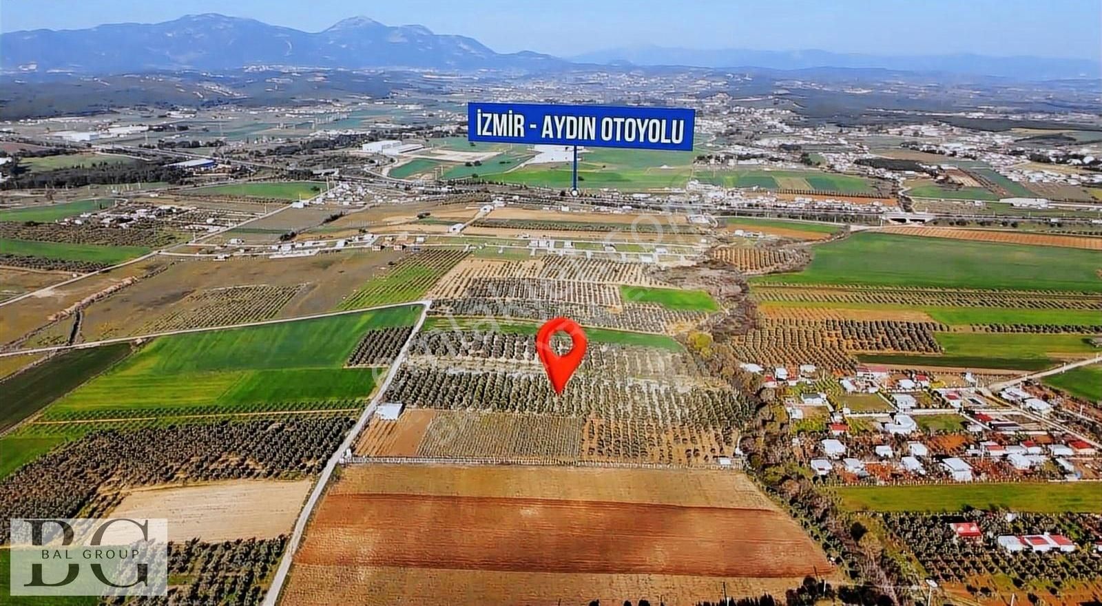 Oğlananası/merkez - 560 Adet Zeytin Ağacı - Elektrk-su-tel Çit,,