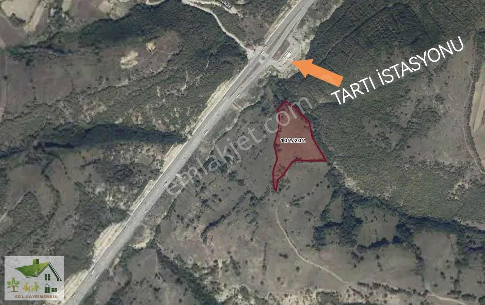 Samsun Kavak Tekke-karaçam Tartı İstasyon Arkası 24.982.91m2
