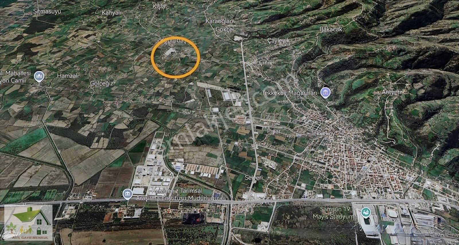 Samsun Tekkeköy Köprübaşı Resmi Yol Cepheli 22.650 M2 Tarla. - Görsel 9
