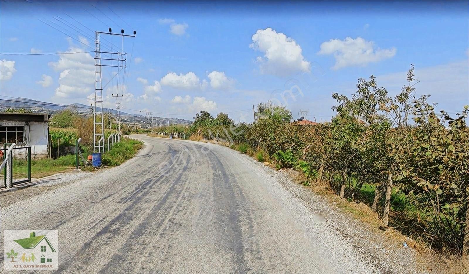 Samsun Tekkeköy Köprübaşı Resmi Yol Cepheli 22.650 M2 Tarla. - Görsel 5