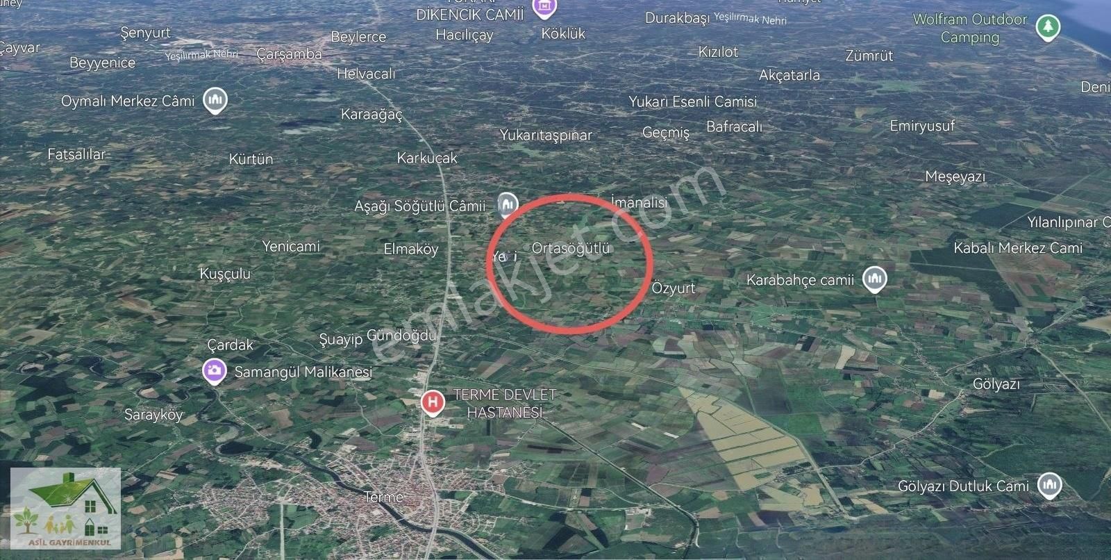 Samsun Terme Yerli De47.817 M2 Satılık Komple Fındık Bahçesi - Görsel 3