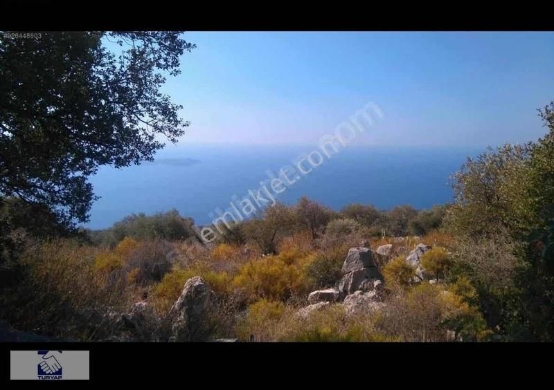 Kaş Sarıbelende Rıza İ Taksim Anlaşmalı Deniz Manzaralı Tarla
