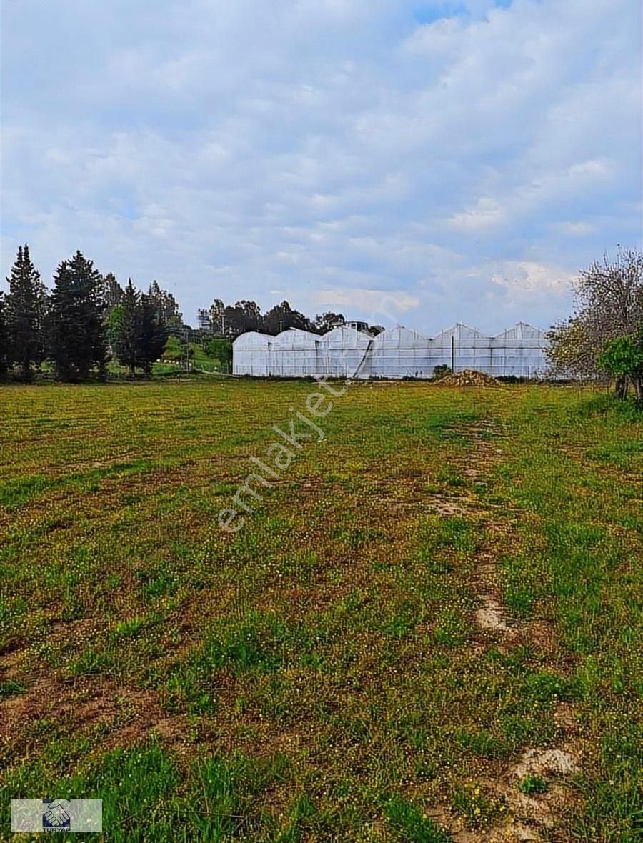 Manavgat Karacalar 'da Yatırımlık Bahçe