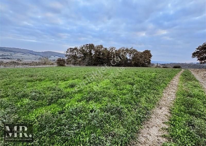 Mr.estate - Salmanlı'da Resmi Yolu Olan 4545 M2 Tarla