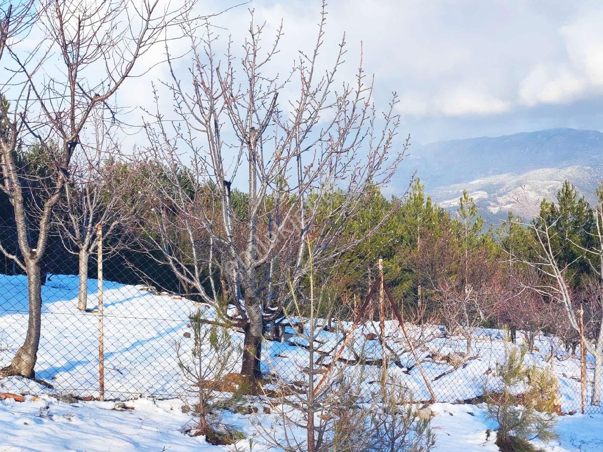 Pozantı Yeni Konacık Körimenlik Mevkiinde Satılık Arsa - Görsel 6