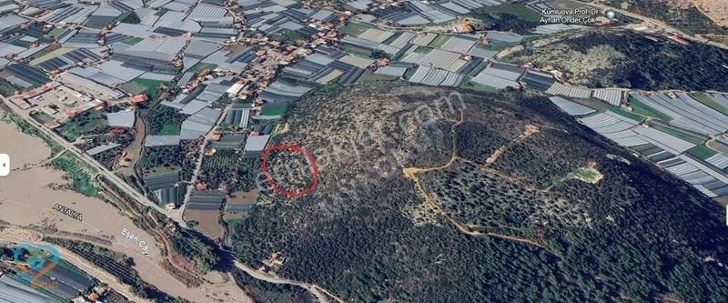 Mykonut'tan Seydikemer Kumluova'da 5 Dönüm Satılık Tarla