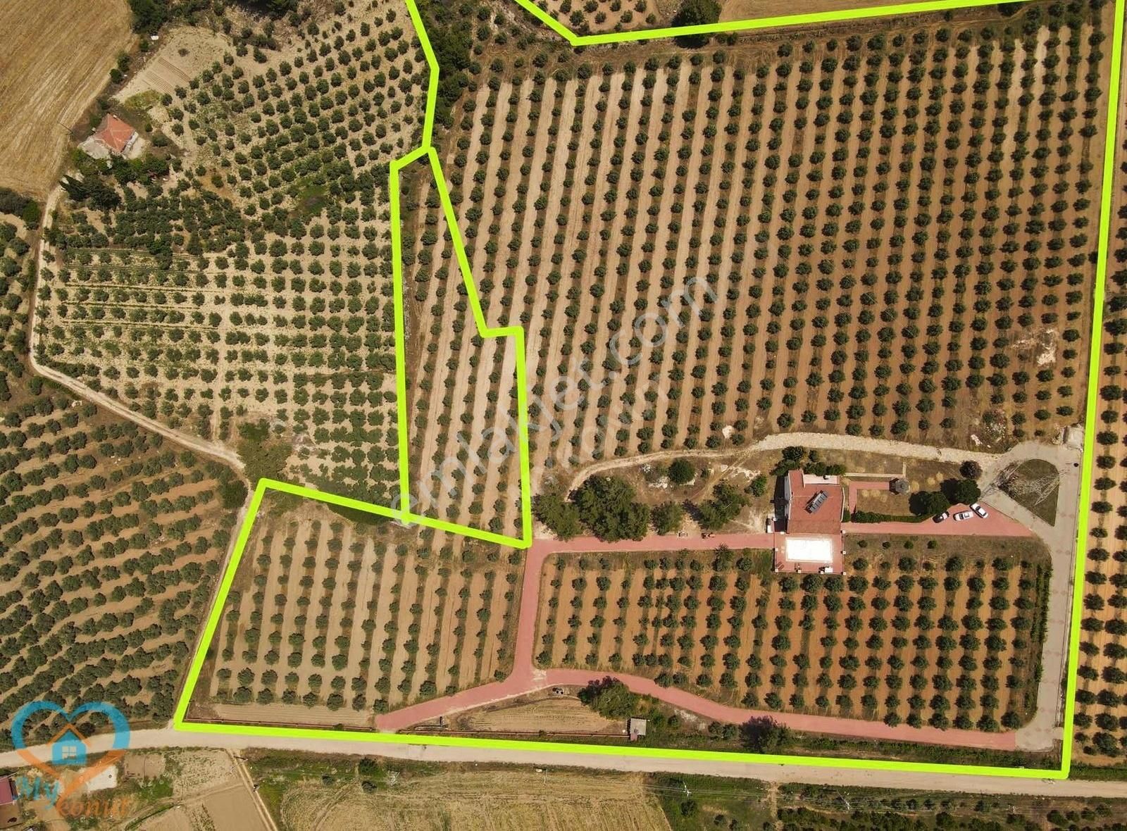Mykonut'tan Eşen'de Yatırımlık Harika 37,967m2 Arsa Ve 5+1 Villa