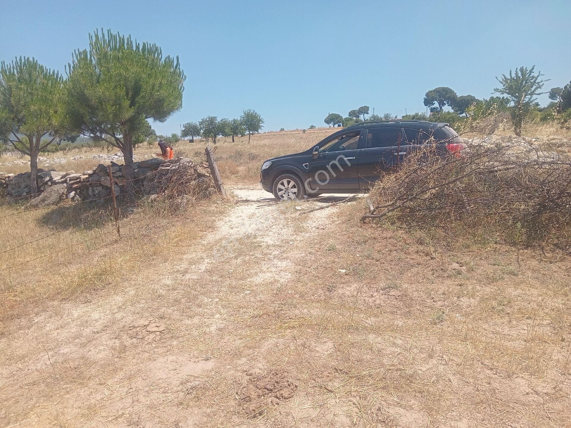 Muğla Milas Türbe Akkovanlık'da 4892 M2 Muhteşem Tarla!!! - Görsel 8