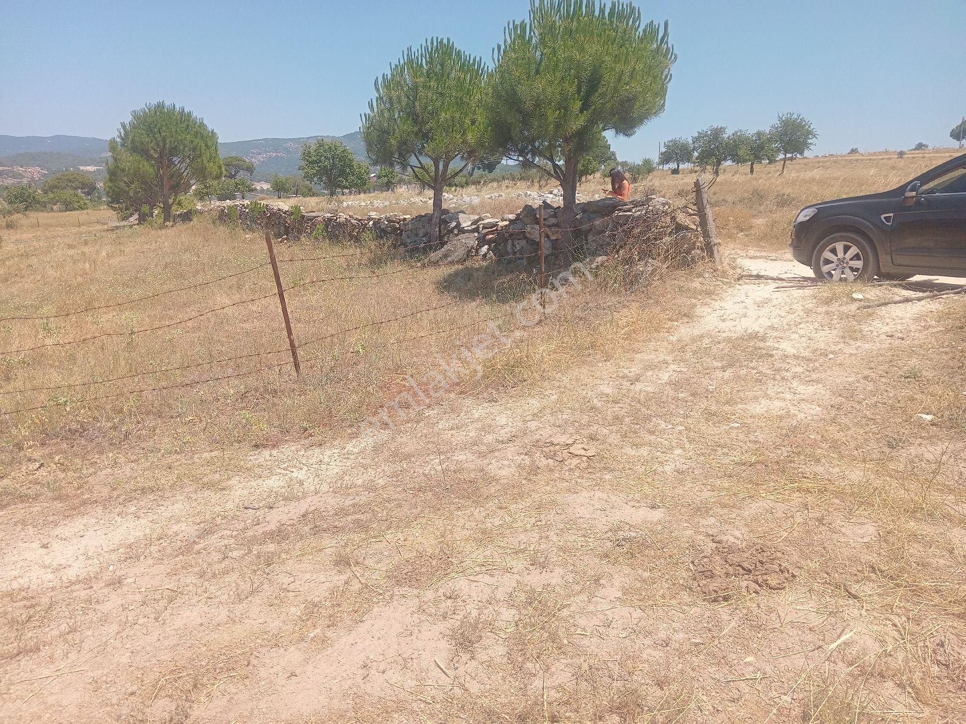 Muğla Milas Türbe Akkovanlık'da 4892 M2 Muhteşem Tarla!!! - Görsel 9