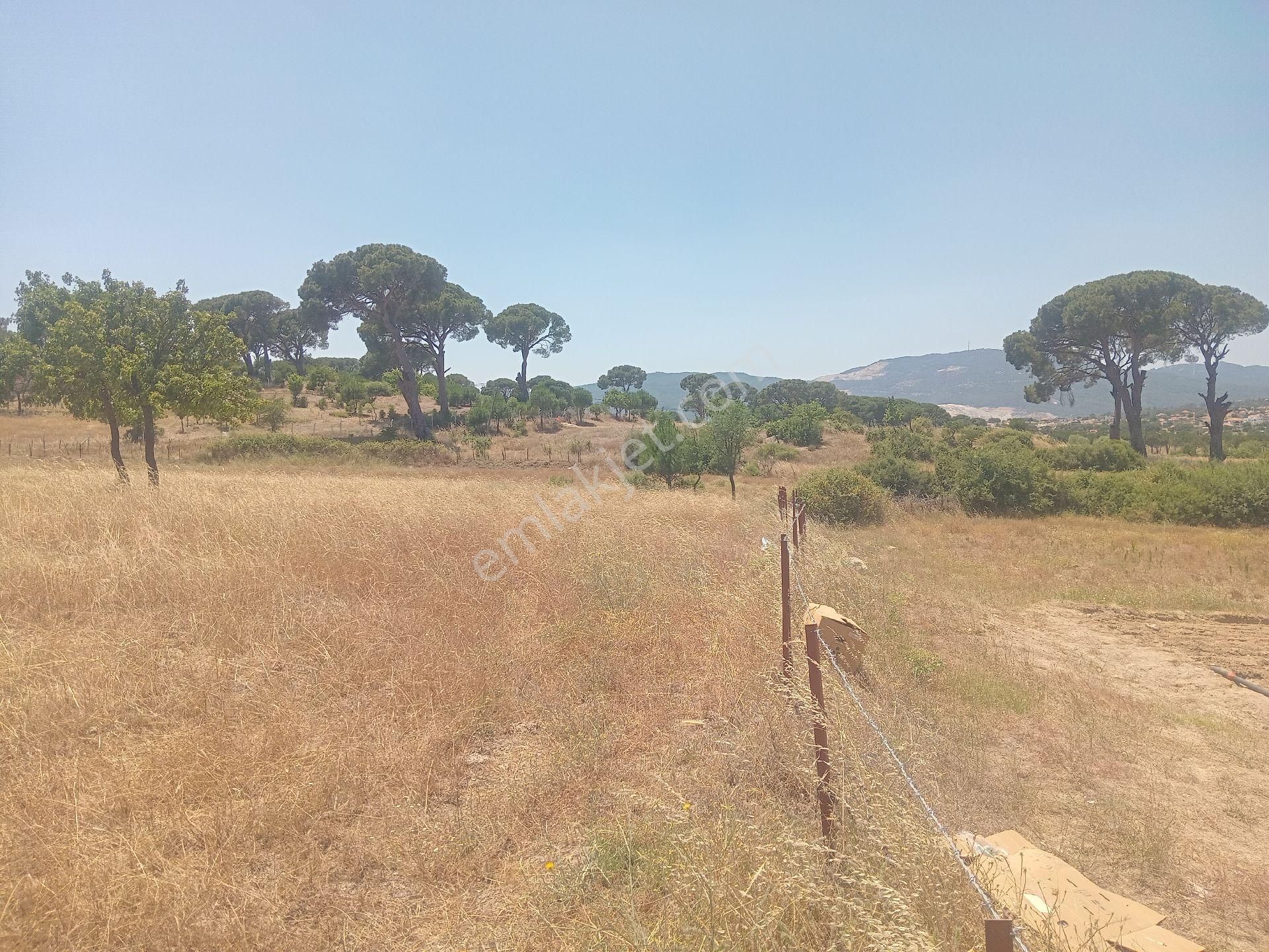 Muğla Milas Türbe Akkovanlık'da 4892 M2 Muhteşem Tarla!!! - Görsel 21