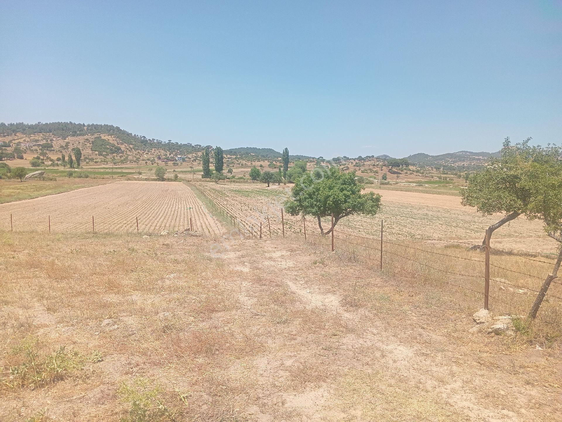 Muğla Milas Türbe Akkovanlık'da 4892 M2 Muhteşem Tarla!!! - Görsel 12