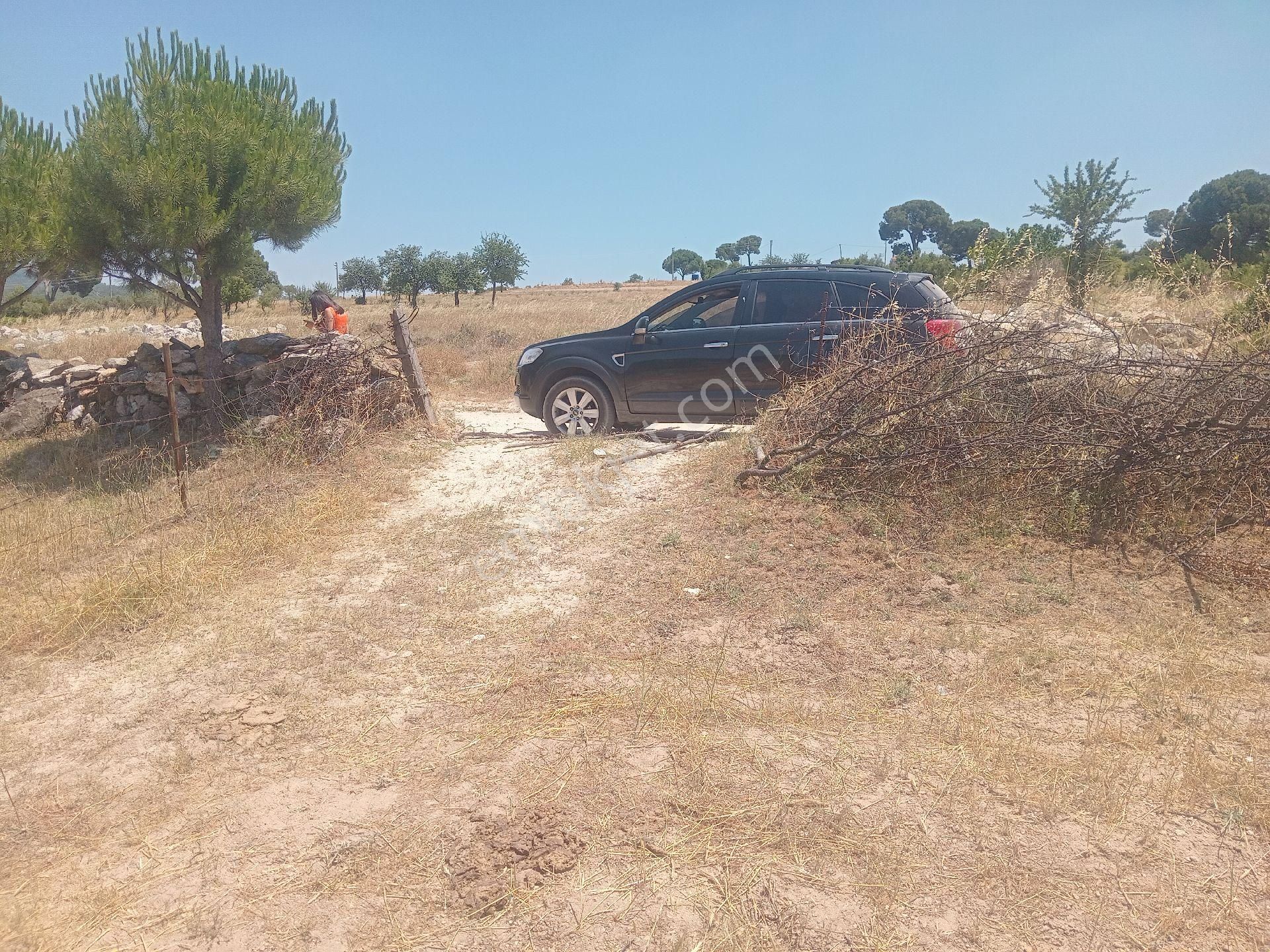 Muğla Milas Türbe Akkovanlık'da 4892 M2 Muhteşem Tarla!!! - Görsel 10