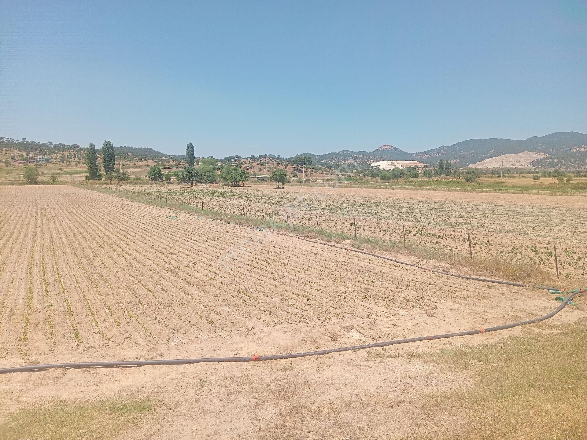 Muğla Milas Türbe Akkovanlık'da 4892 M2 Muhteşem Tarla!!! - Görsel 19