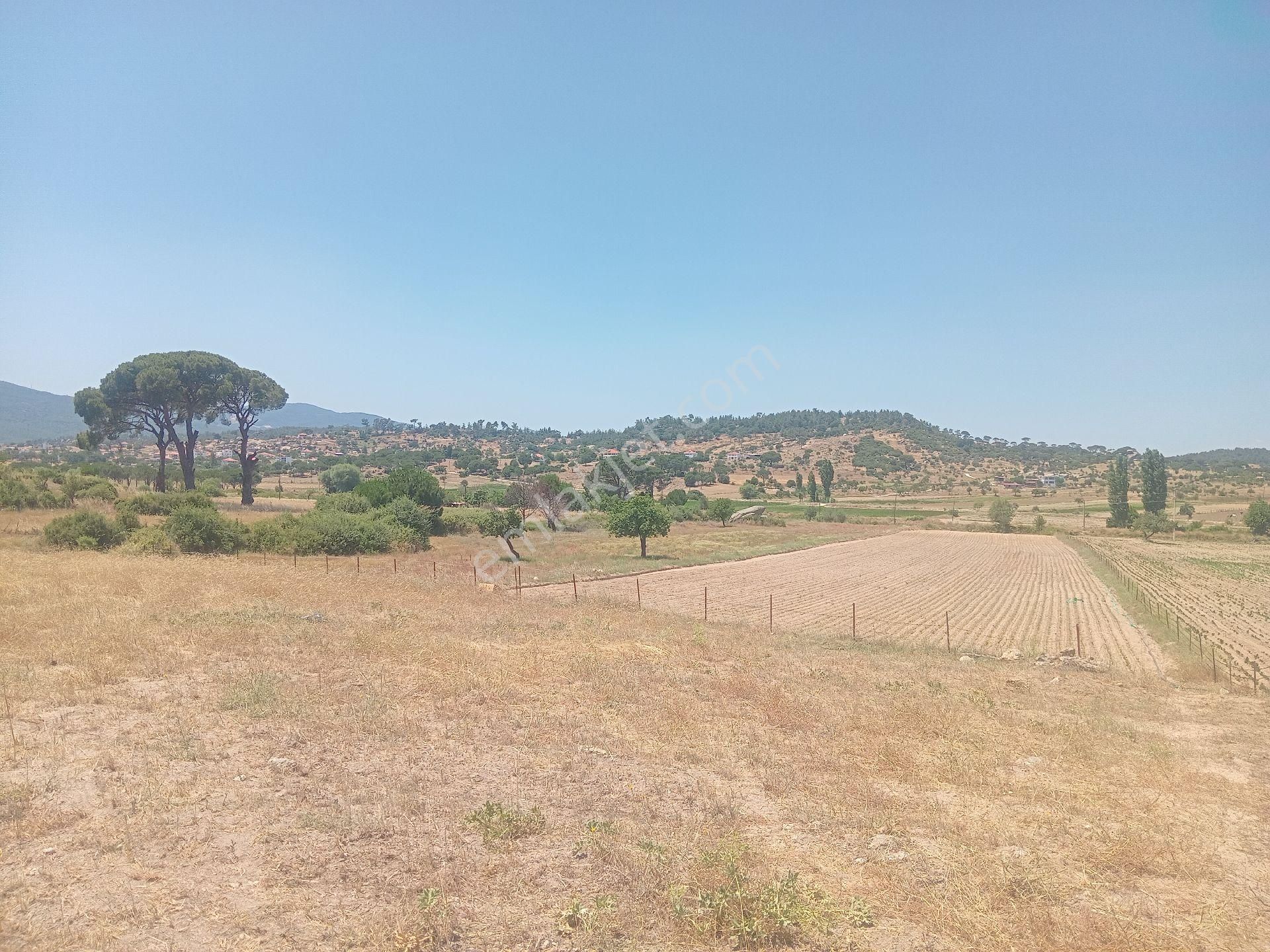 Muğla Milas Türbe Akkovanlık'da 4892 M2 Muhteşem Tarla!!! - Görsel 23