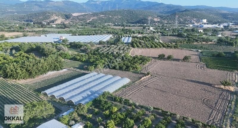 Okkalı Emlak Tan Menemen Yayla Mah De Satılık Bahçe - Görsel 3