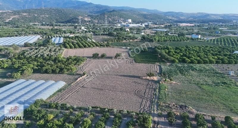Okkalı Emlak Tan Menemen Yayla Mah De Satılık Bahçe - Görsel 4