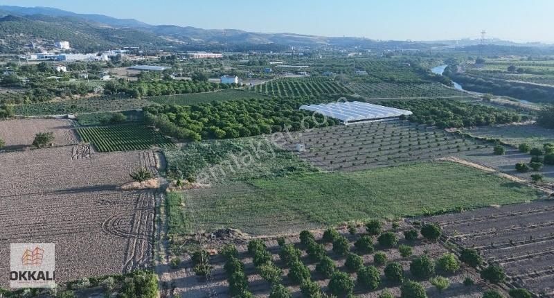 Okkalı Emlak Tan Menemen Yayla Mah De Satılık Bahçe - Görsel 6