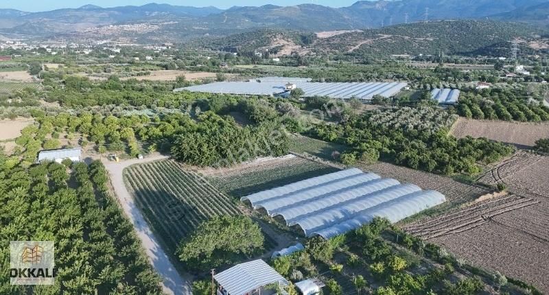 Okkalı Emlak Tan Menemen Yayla Mah De Satılık Bahçe - Görsel 2