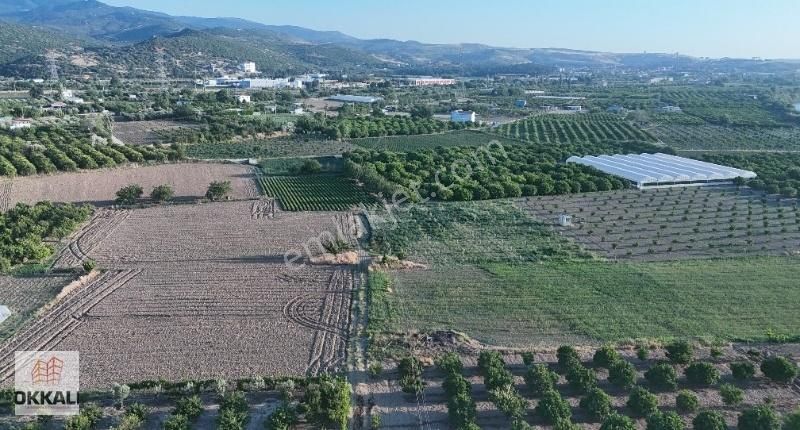 Okkalı Emlak Tan Menemen Yayla Mah De Satılık Bahçe - Görsel 8