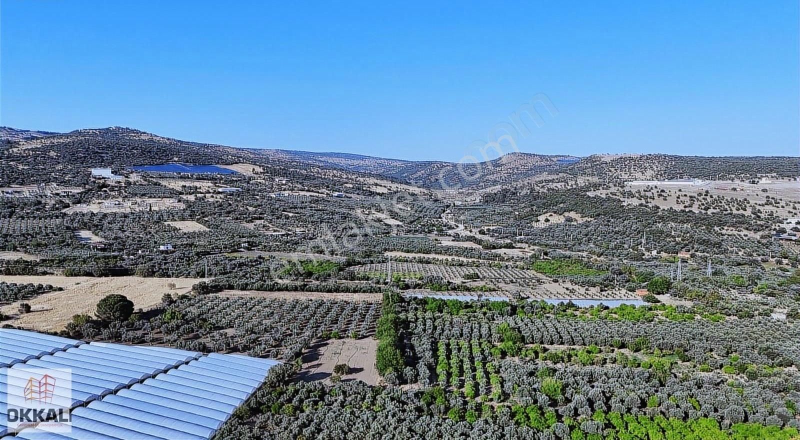 Okkalı Emlak Tan Menemen Görece Köyü Nde Satılık Bahçe - Görsel 9