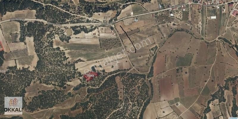 Afyon Dazkırı Yayla Köyü Nde Satılık Tarla