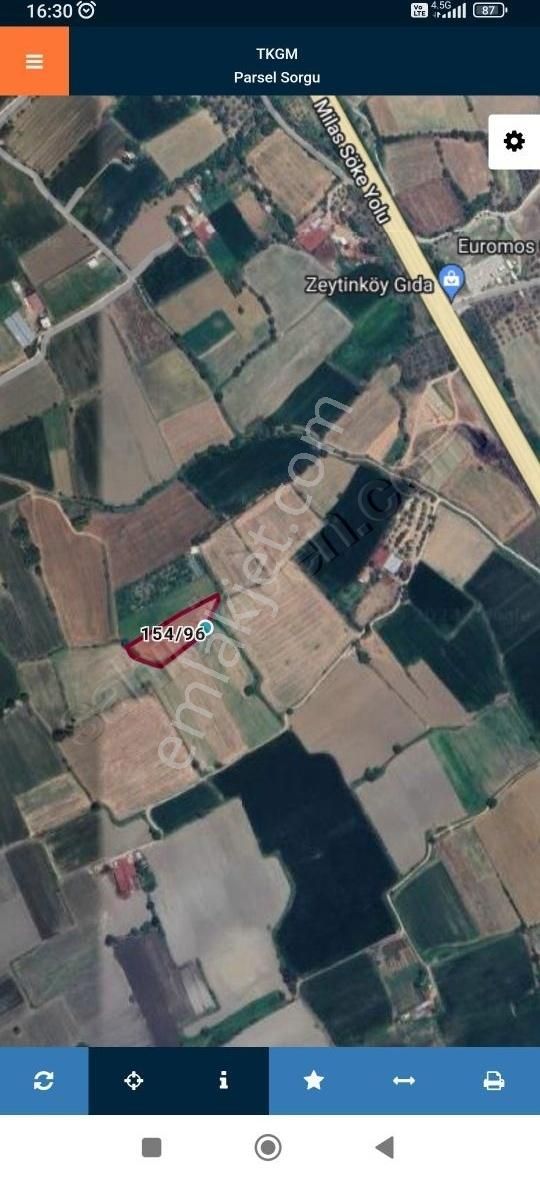 Milas Selimiye'de İzmir Yoluna Yakın Konumda Satılık Tarla
