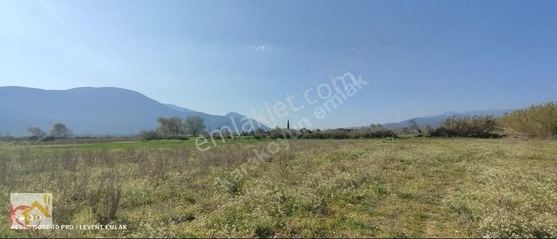 Milas Selimiye'de İzmir Yoluna Yakın Konumda Satılık Tarla - Görsel 8