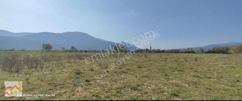 Milas Selimiye'de İzmir Yoluna Yakın Konumda Satılık Tarla - Görsel 9