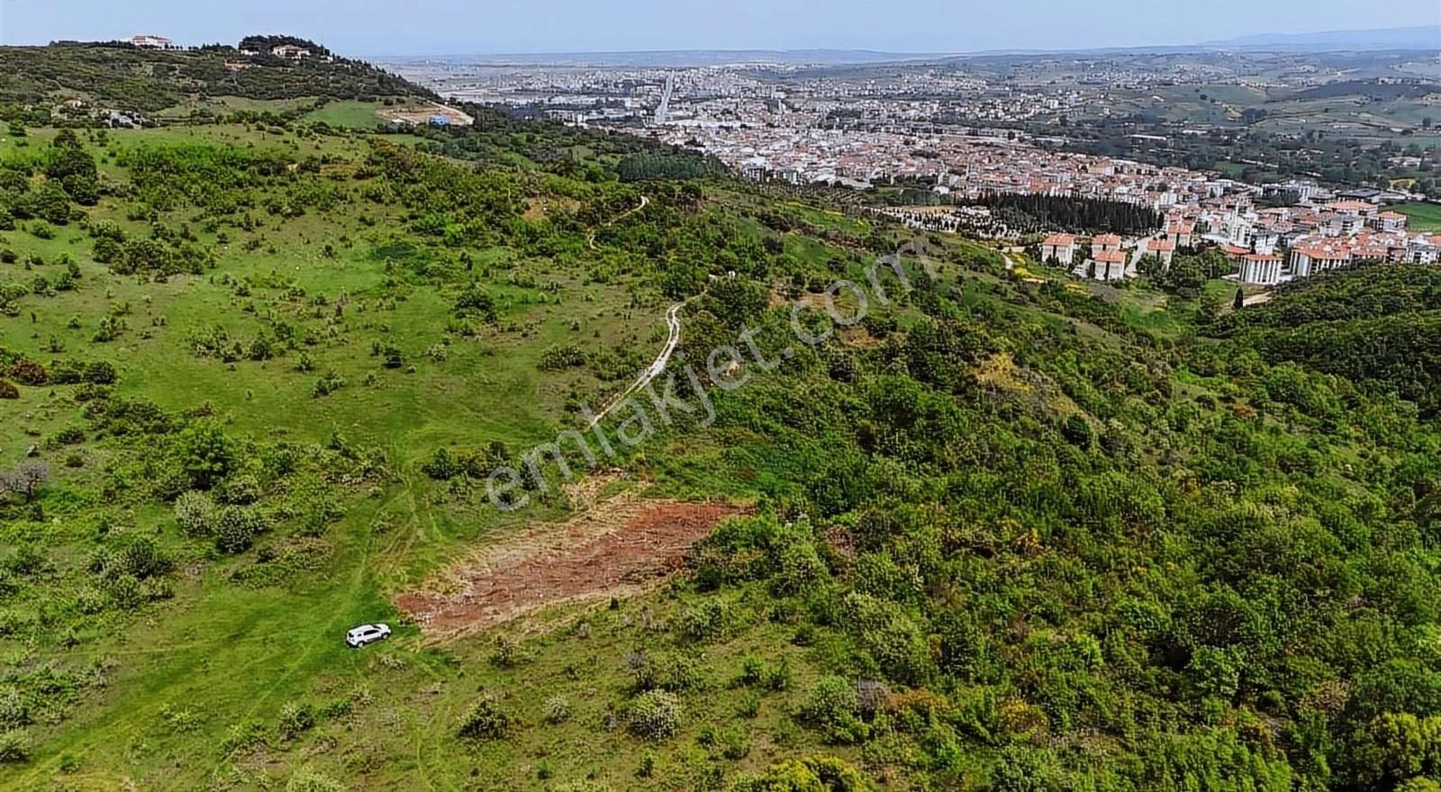 Biga Cumhuriyet Mah. Satılık 4716 M2 İmar Sınırı Tarla - Görsel 16