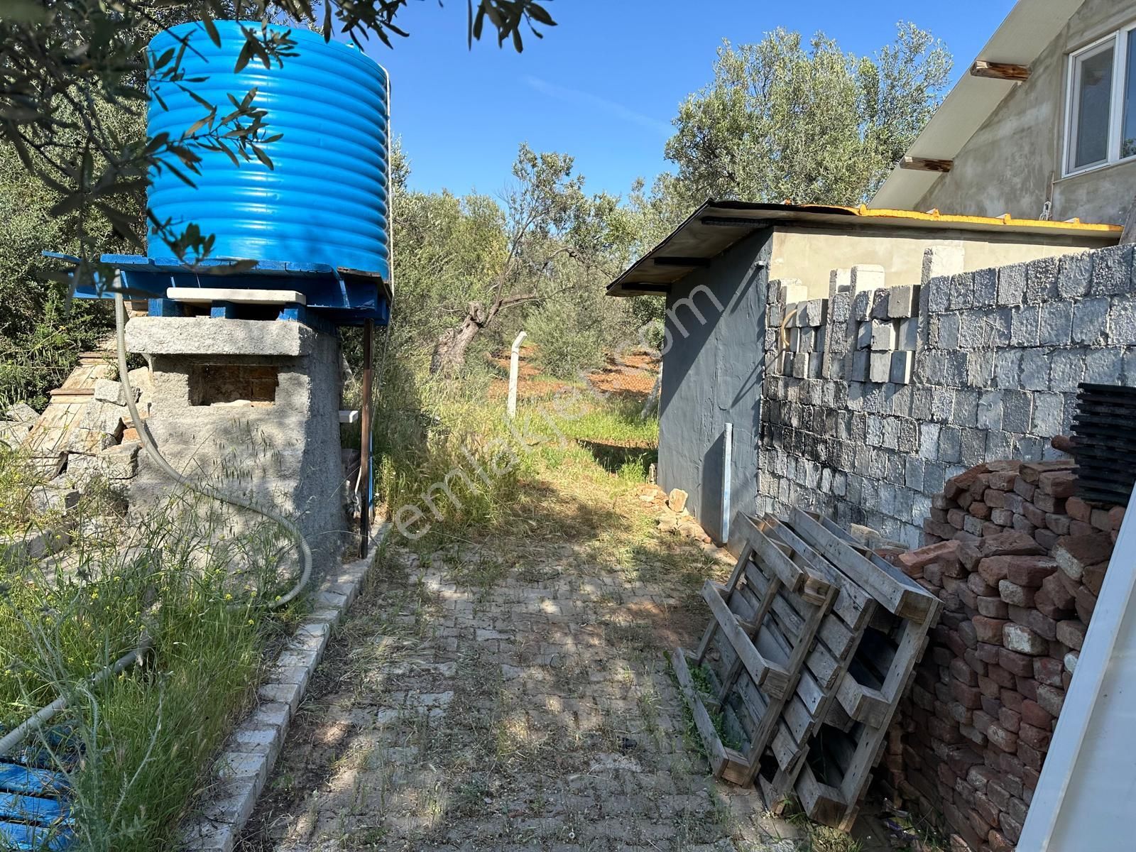Premar Ayvada'dan Ayvalık Fethiye'de 3.5 Dönüm Bakımlı Zeytinlik - Görsel 10