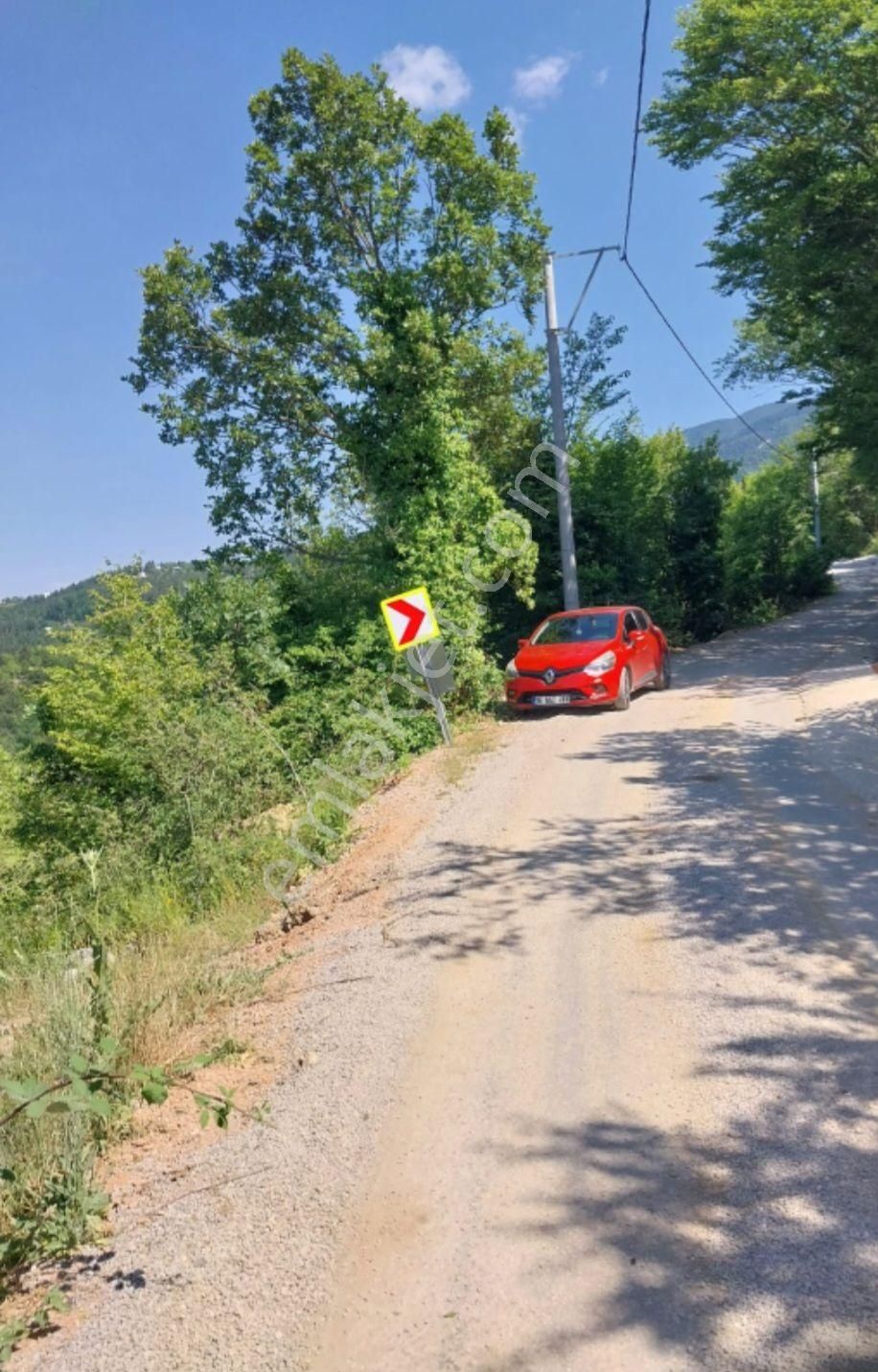 Elmas Gayrimenkul Den Kestel Orhanıye Satılık Ana Yola Cephe Tarla - Görsel 3