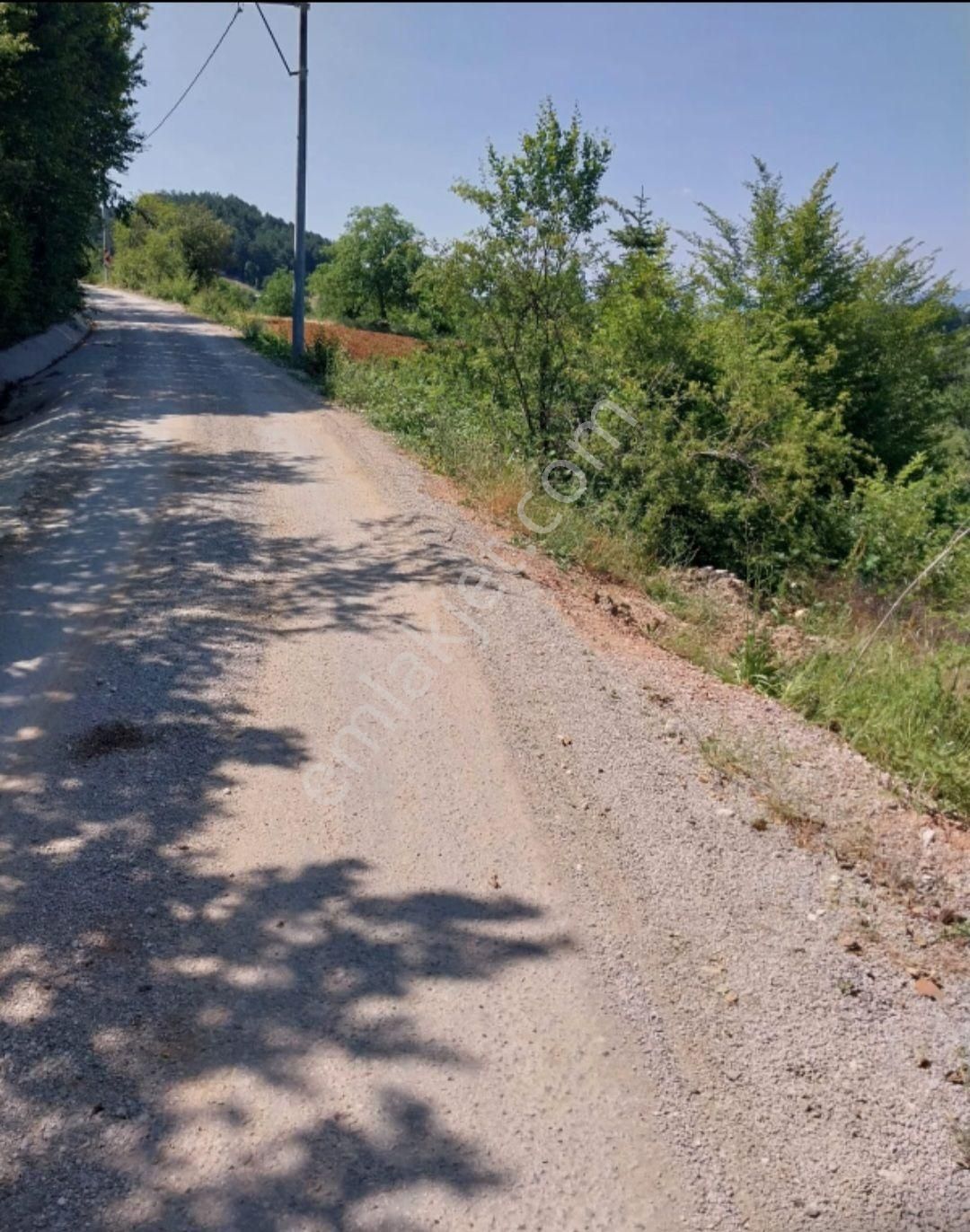 Kestel Orhanıye Satılık Ana Yola Cephe Tarla