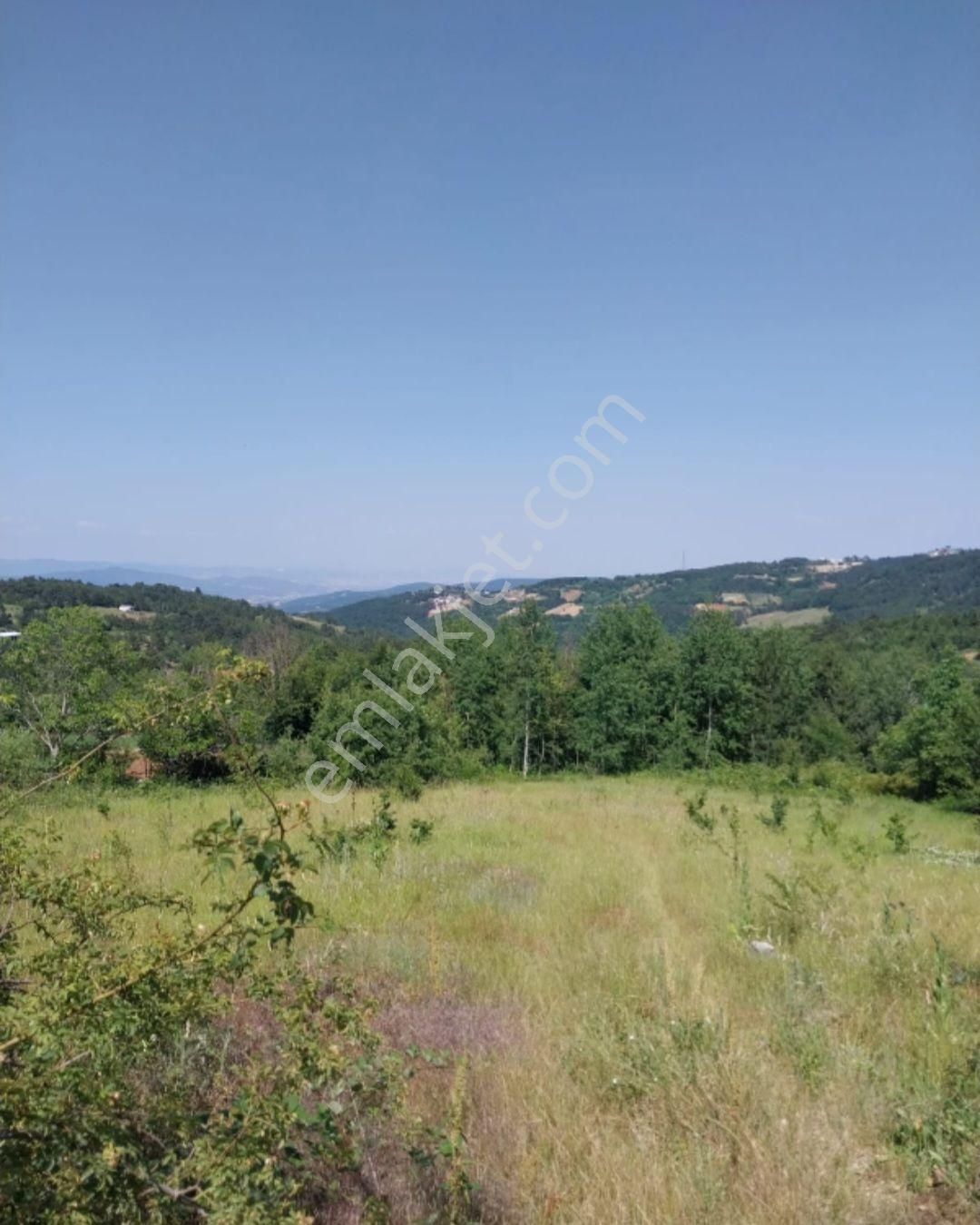 Elmas Gayrimenkul Den Kestel Orhanıye Satılık Ana Yola Cephe Tarla - Görsel 4